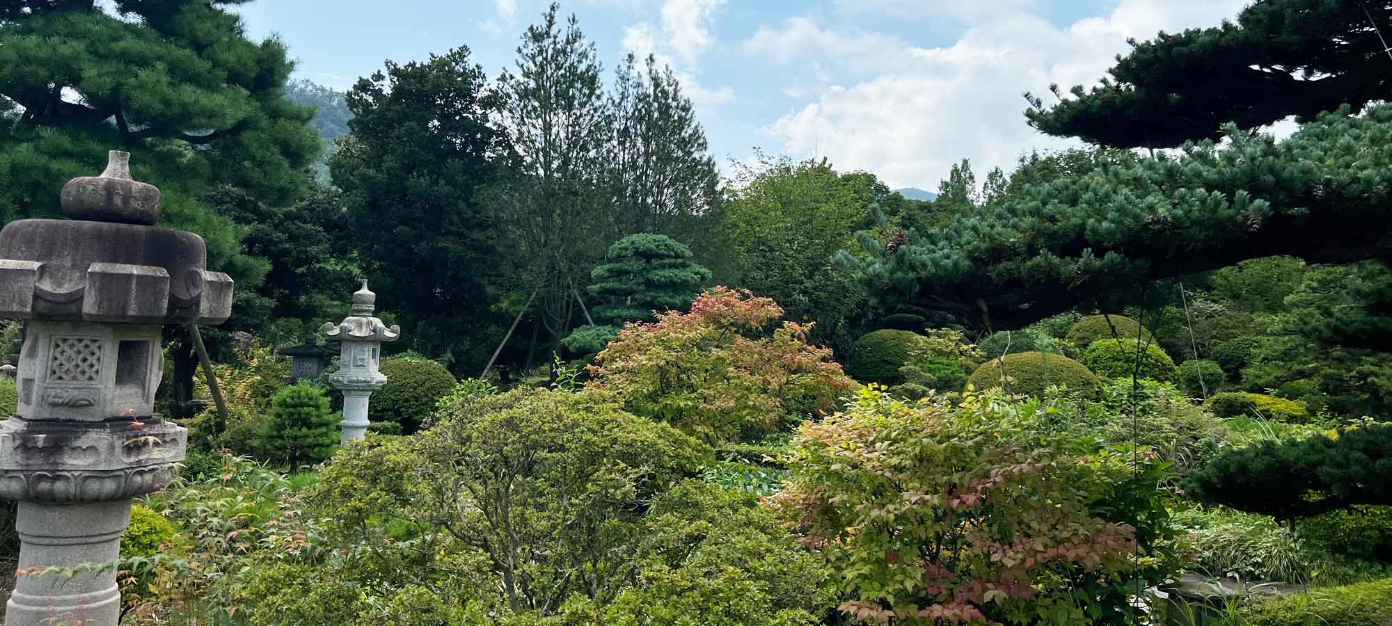 野尻緑産