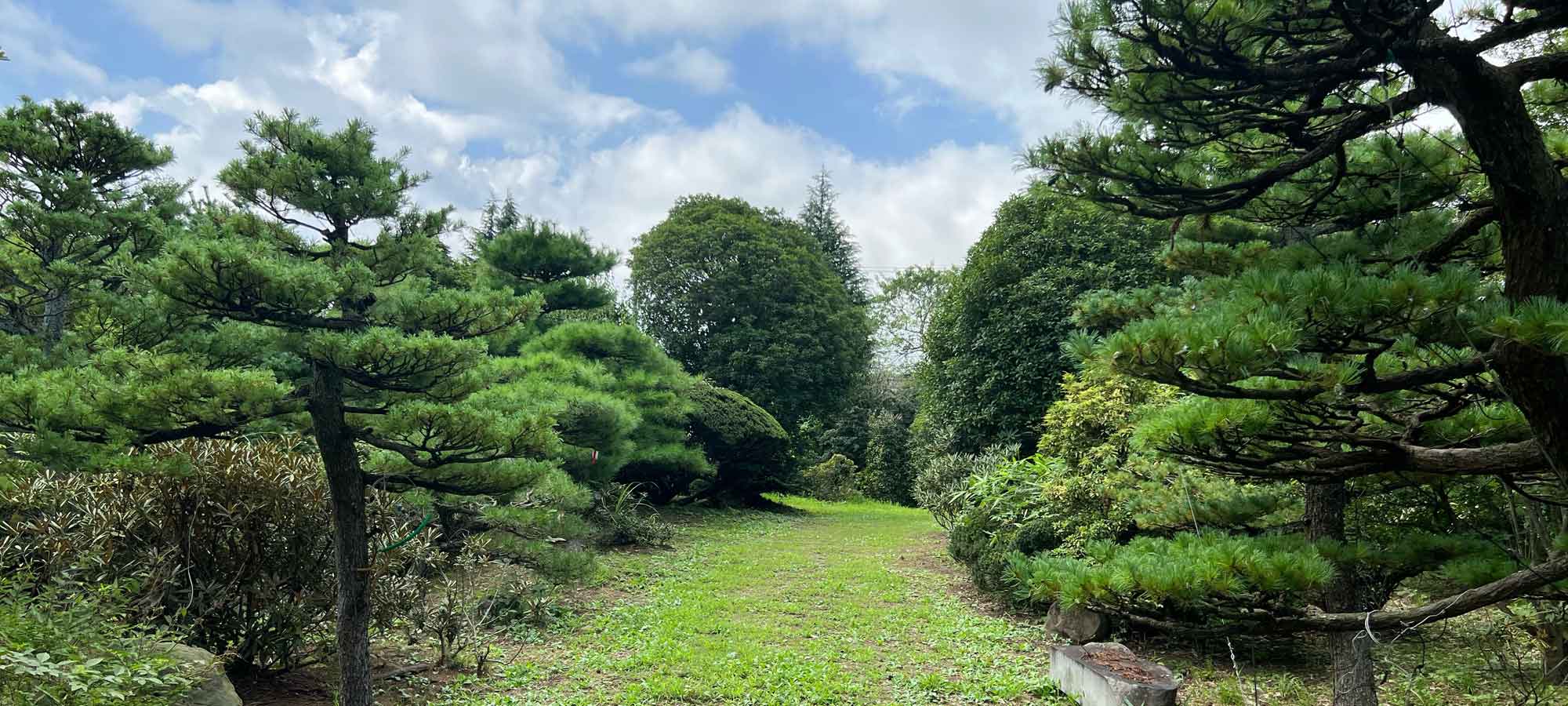野尻緑産