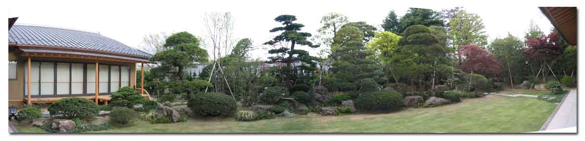 主庭