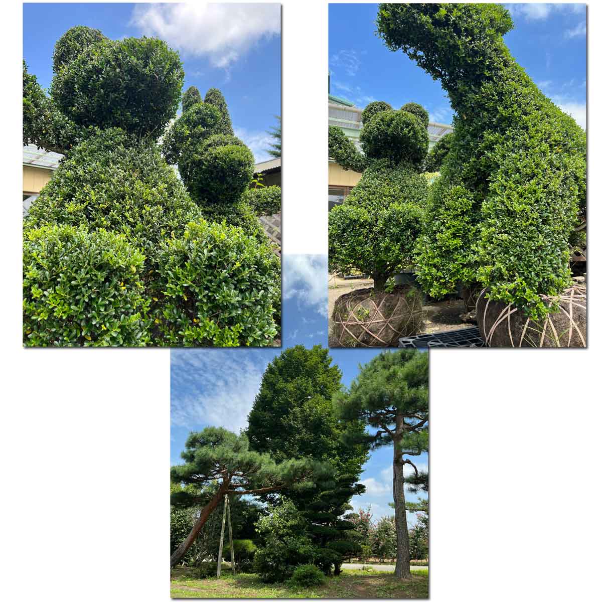 造園関係資材